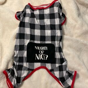 Vibrant life dog outfit